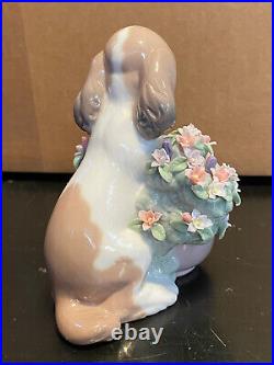 Lladro 6574 Take Me Home! Dog Figurine Mint Condition No Box