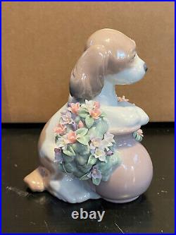 Lladro 6574 Take Me Home! Dog Figurine Mint Condition No Box