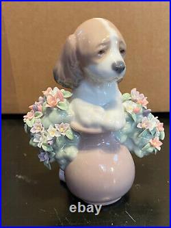 Lladro 6574 Take Me Home! Dog Figurine Mint Condition No Box