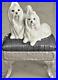 Lladro 6688 Sitting Pretty 2 Maltese Puppy Dogs Sitting Pretty MWOB, RV$560