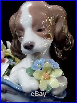 Lladro #6744 A Well Heeled Puppy Bnib Dog Flower Shoe Arge Bargain $220 Off F/sh