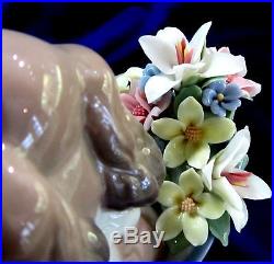 Lladro #6744 A Well Heeled Puppy Bnib Dog Flower Shoe Arge Bargain $220 Off F/sh