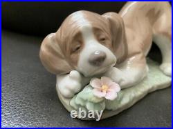 Lladro 6832, @A Sweet Smell, Dog with Flower