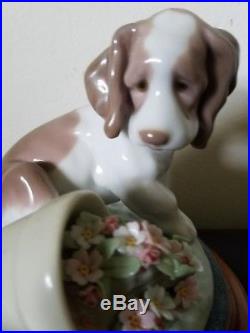 Lladro 7672 It Wasn't Me Dog Collectors Society 1998 Retired with Base