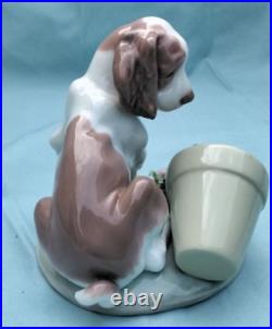 Lladro 7672 It Wasn't Me Dog and Flower figurine Collectors Series with Box