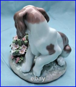 Lladro 7672 It Wasn't Me Dog and Flower figurine Collectors Series with Box
