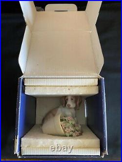 Lladro #7672It Wasn't Me Collector's Society Original BoxPuppy Dog