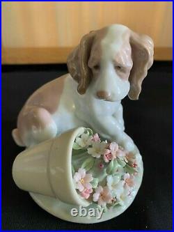 Lladro #7672It Wasn't Me Collector's Society Original BoxPuppy Dog