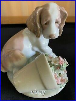 Lladro #7672It Wasn't Me Collector's Society Original BoxPuppy Dog