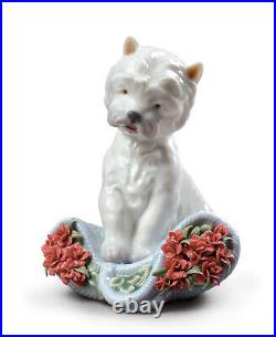 Lladro #8065 Playful Character Dog Figurine Brand Nib Carnations Cute Save$ F/sh