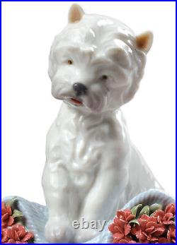 Lladro #8065 Playful Character Dog Figurine Brand Nib Carnations Cute Save$ F/sh