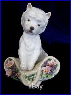 Lladro #8207 Playful Character Brand New In Box Dog Flower Basket Save$$ Free Sh