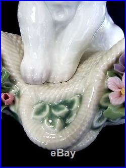 Lladro #8207 Playful Character Brand New In Box Dog Flower Basket Save$$ Free Sh