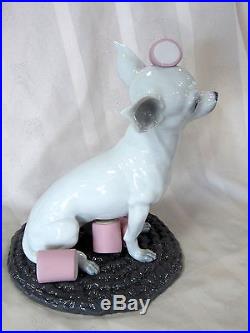 Lladro #9191 Chihuahua With Marshmallows Brand New In Box Cute Dog Save$$ F/sh