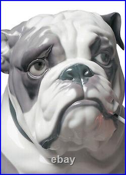 Lladro #9234 Bulldog With Lollipop Brand Nib Large Dog Animal Candy Save$ F/sh