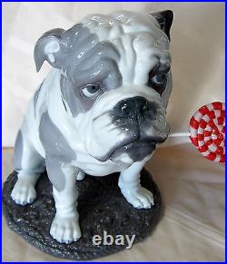 Lladro #9234 Bulldog With Lollipop Brand Nib Large Dog Animal Candy Save$ F/sh