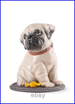 Lladro #9689 Puppie Pug Figurine Brand Nib Large Dog Animal Candy Save$ F/sh