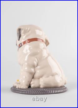 Lladro #9689 Puppie Pug Figurine Brand Nib Large Dog Animal Candy Save$ F/sh