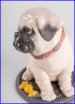 Lladro #9689 Puppie Pug Figurine Brand Nib Large Dog Animal Candy Save$ F/sh