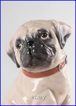 Lladro #9689 Puppie Pug Figurine Brand Nib Large Dog Animal Candy Save$ F/sh