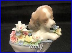 Lladro'A Well Heeled Puppy' Collectible Figurine # 6744 Dog in Boot Excellent