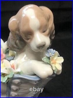 Lladro'A Well Heeled Puppy' Collectible Figurine # 6744 Dog in Boot Excellent