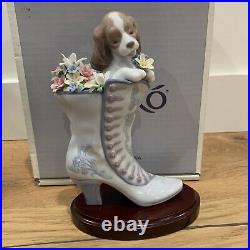 Lladro A Well Heeled Puppy Figurine 6744 Dog in Shoe 06744 Mint Comes WithBox