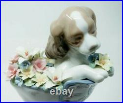 Lladro A Well Heeled Puppy Figurine 6744 with Box Dog in Shoe 06744 Mint