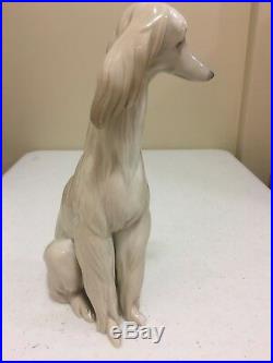 Lladro AFGHAN HOUND DOG 1069 (Galgo Noble) (Retired 1985) Figurine