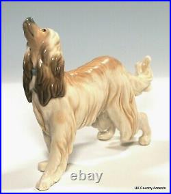 Lladro Afghan Hound #1282 Dog Looking Up $555 Value Mint Condition