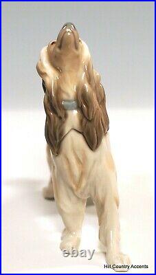 Lladro Afghan Hound #1282 Dog Looking Up $555 Value Mint Condition