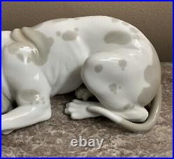 Lladro Blood Hound Old Dog # 1067 Porcelain Figurine. Spain