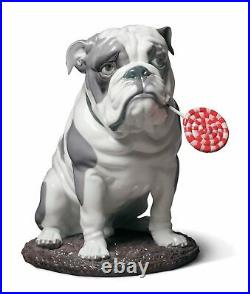 Lladro Bulldog with Lollipop Dog Figurine 01009234