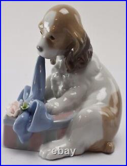 Lladro CAN'T WAIT (Cocker Spaniel Dog w Gift Box) #8312 KB8