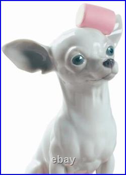 Lladro CHIHUAHUA WITH MARSHMALLOWS Dog Puppy 01009191