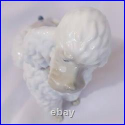 Lladro Caniche Poodle Dog Figurine Spain Vintage 1960's HTF Rare Approx 9inch