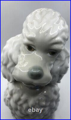 Lladro Caniche Poodle Dog Figurine Spain Vintage 1960's Rare Approx