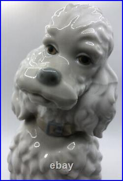 Lladro Caniche Poodle Dog Figurine Spain Vintage 1960's Rare Approx