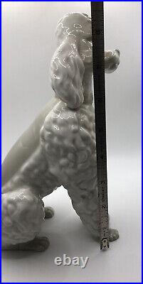 Lladro Caniche Poodle Dog Figurine Spain Vintage 1960's Rare Approx