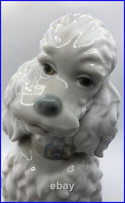 Lladro Caniche Poodle Dog Figurine Spain Vintage 1960's Rare Approx