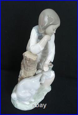 Lladro Caress And Rest Girl Petting Dog Retired Porcelain Figurine #1246 Mint