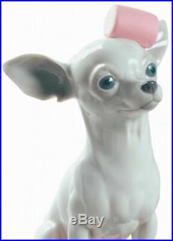 Lladro Chihuahua with Marshmallows Dog #9191 NEW 01009191original box