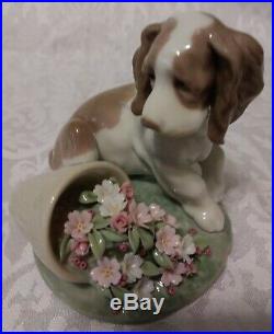 Lladro Collectors Series # 7672 Travesura. It Wasn't Me Dog With Flower Pot