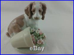 Lladro Collectors Series It Wasn't Me Dog With Flower Pot # 7672 Travesura EUC