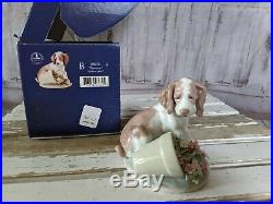 Lladro Collectors Society 1998 IT WASNT ME 7672 Dog Flower Porcelain Figurine