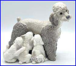 Lladro DOG Figurine 1257 MOTHER POODLE WITH PUPS NO Box / Retired 1981