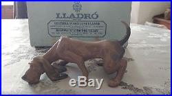 Lladro Dog # 5110 Bloodhound Mint Condition withBOX
