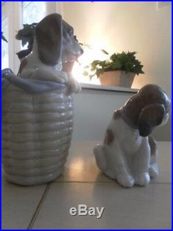 Lladro Dog In Basket 1128 & Gentle Surprise 6210 Mint Condition Fast Shipping