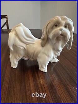 Lladro Dog Porcelain Lhasa Apso/shitzu Rare Glazed Figurine # 4642 Mint