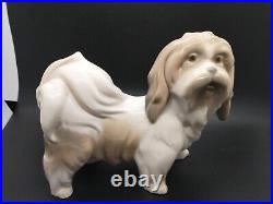 Lladro Dog Porcelain Lhasa Apso/tibetan Terrier Rare Glazed Figurine